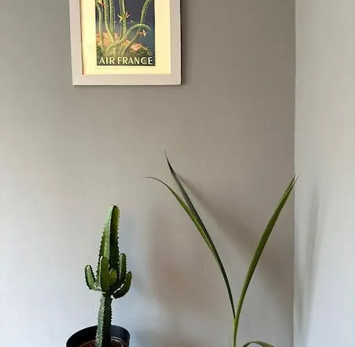 Apartment Duplex De Charme A