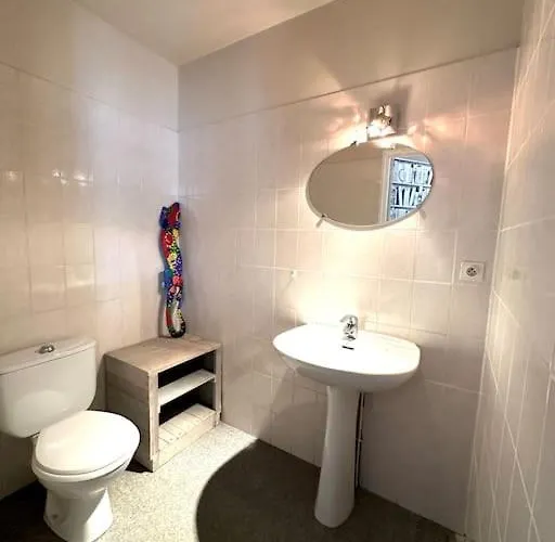 Apartment Duplex De Charme A *